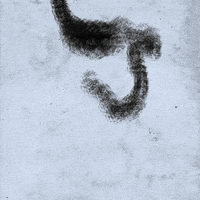 Nft Ink GIF by xponentialdesign