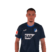 Sport Bundesliga Sticker by TSG Hoffenheim