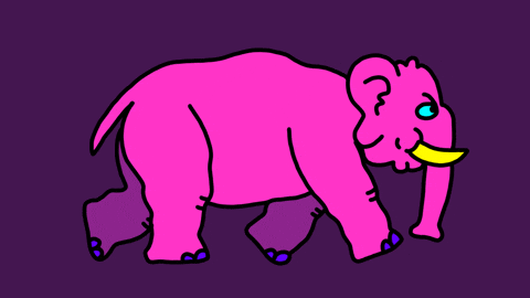 Elephant Walk Pink GIF by herbertonic