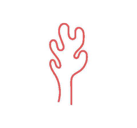 coralstudio giphyupload ocean sea marine Sticker