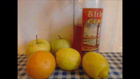 Simongip giphygifmaker GIF