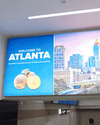 cityrockseybl basketball travel cityrocksbasketball city rocks GIF