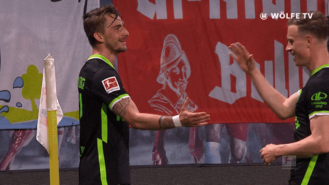 Football Sport GIF by VfL Wolfsburg
