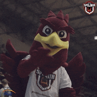 Spojnia Stargard Kiss GIF by Kacper Salamon Fotografia