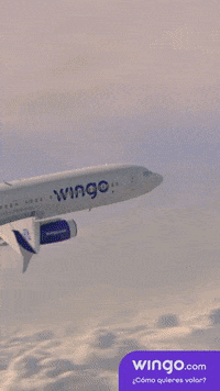 GIF by Wingo