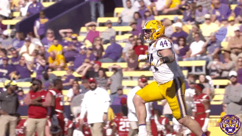 College Sports Sport GIF by LSU Tigers