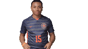 Cnms Sticker by Carson-Newman Athletics