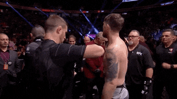 Sport GIF by UFC