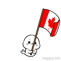 Canadian Football GIF by Sappy Seals