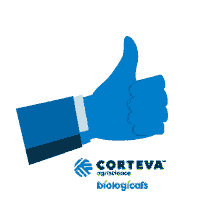 Sticker by Cortevapy