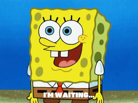 season 5 episode 3 GIF by SpongeBob SquarePants