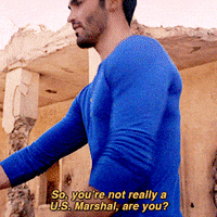 the desert wolf GIF by mtv