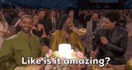 Grammy Awards GIF by Recording Academy / GRAMMYs