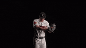 University Of Louisville Baseball GIF by Louisville Cardinals