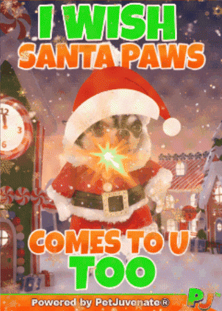 PetJuvenate  GIF