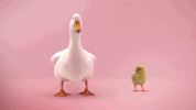 nickatnite friends parenting GIF