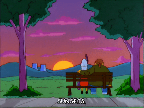 episode 11 sunset GIF