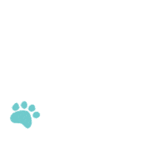 Cute Dog Paws Sticker by Barkibu