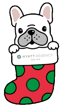 Happy Christmas Sticker by HyattRegencyHuaHin