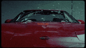 alex aiono car GIF by Sammi Sanchez