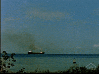 open knowledge vintage GIF by Okkult Motion Pictures