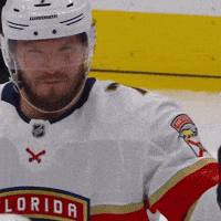 Dmitry Kulikov Smile GIF by Florida Panthers