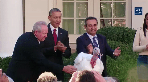 excited clap GIF by Obama