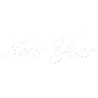 jhewalidain happy 2020 new year 2021 Sticker