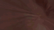kung fu GIF