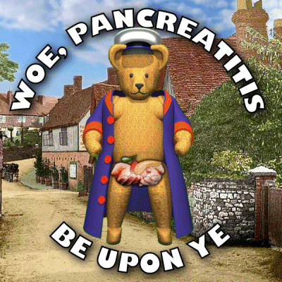 Pancreas GIF