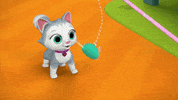 Dance Cat GIF by Moonbug