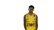Ewe Baskets Sport Sticker by EWE Baskets Oldenburg