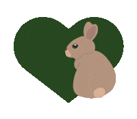 Cruelty Free Bunny Sticker by Open Cages UA
