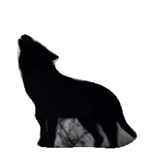 wolf STICKER by imoji