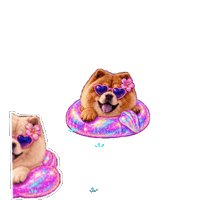 Summer Fun Swim Sticker