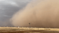 'Close Your Windows!' Massive Dust Cloud Engulfs Amarillo Amid Storm Warnings