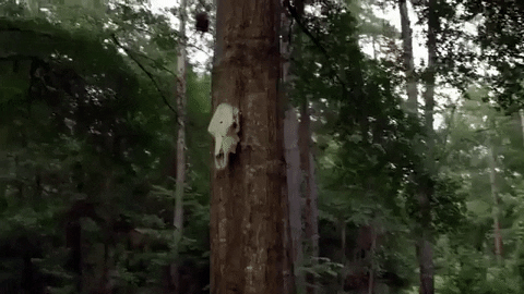 frameworks GIF by Topshelf Records