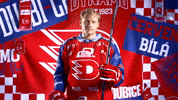 Hockeytown GIF by HC Dynamo Pardubice