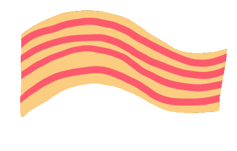 Bandera Catalunya Sticker