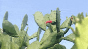 Art Film GIF by jorgemariozuleta