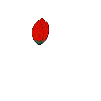 Stylus0npapyrus red flower bloom stylusonpapyrus Sticker