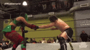 Sole Food GIF