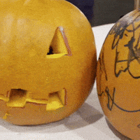 Fun Decorate GIF by Jennifer Greenhill