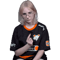 The Bears Esports Sticker by Virtus.pro