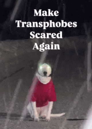 Dogs Sigma GIF