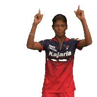 Happy Dance Sticker by Royal Challengers Bengaluru
