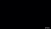 sameers-garage cars audi supercars carmeet GIF