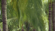 bachelorinparadise season 4 jack intro opening GIF