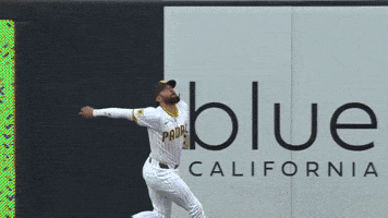 San Diego Padres Sport GIF by MLB