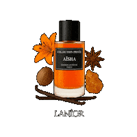 Magic Amber Sticker by Lanior